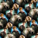 Harrys-Gang-22
