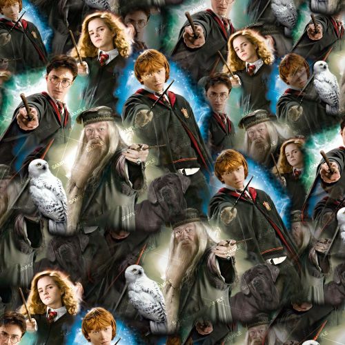 Harrys Gang 23