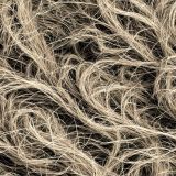 Hemp-Fibers