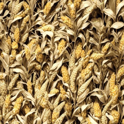 Heritage Sorghum