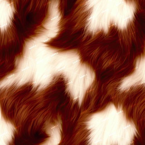 Highland Cow Fur 43