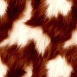 Highland-Cow-Fur-43
