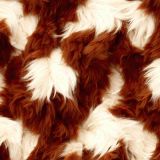 Highland-Cow-Fur-44