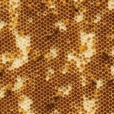 HoneyComb-42
