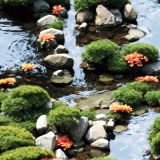 Japanese-Water-Garden-42