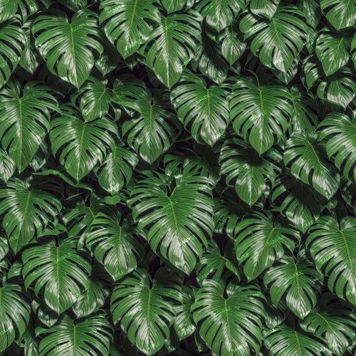 Jungle Leaves 43
