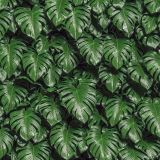 Jungle-Leaves-43