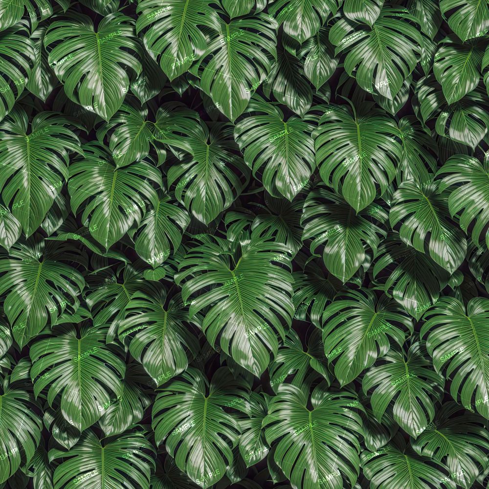 Jungle Leaves 43
