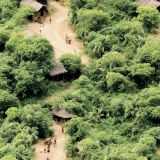Jungle-Village-43