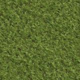 Lawn-Grass-43