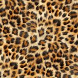 Leopard-Fur-47