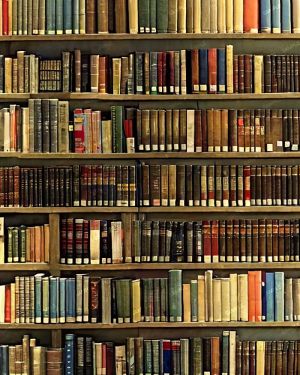 Library Shelves 42