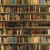 Library-Shelves-42