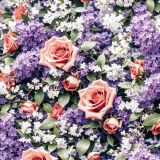 Lilacs-and-Roses-22