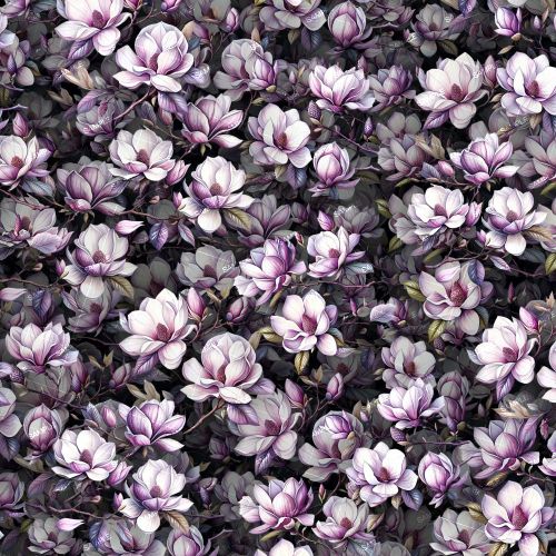 Magnolia Flowers 44