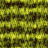Mangshan-Pit-Viper-Scales-23