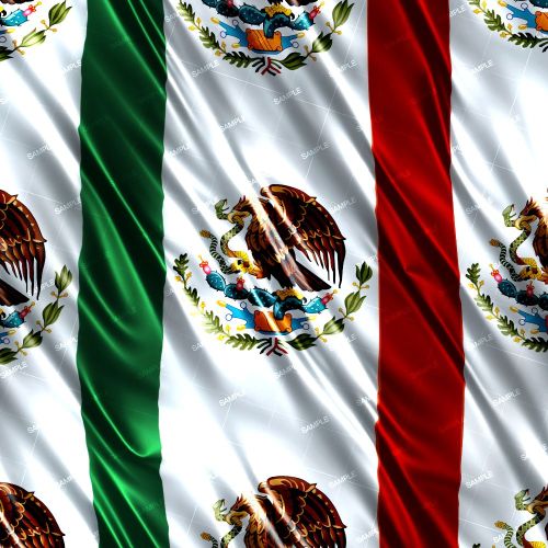 Mexican Flag 24