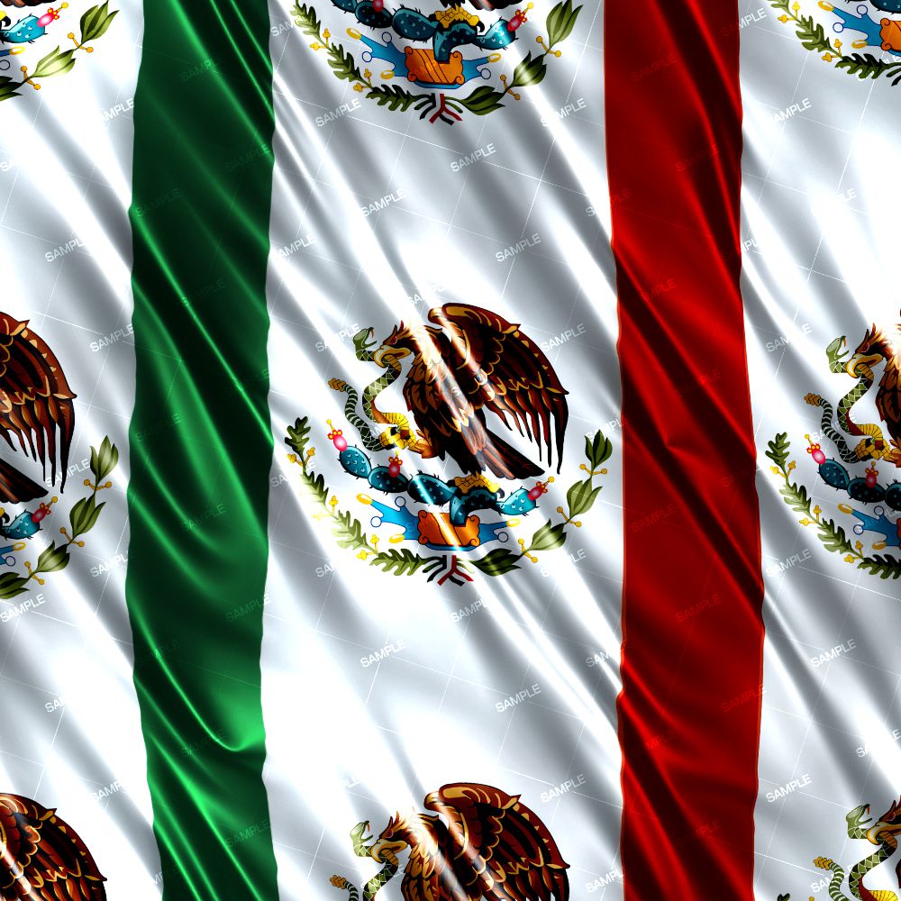 Mexican Flag 24