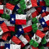 Mexico-and-Texas-Flags
