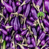 Mini-Eggplants
