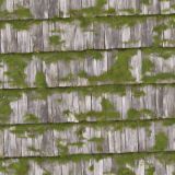 Mossy-Cedar-Shingles