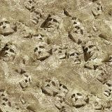 Mount-Rushmore-Constitution
