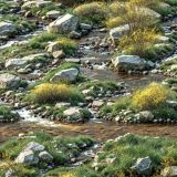 Mountain-Creek-in-the-Spring