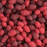 Mulberries-45