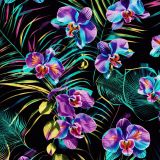 Neon-Iris