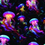 Neon Jellyfish 42