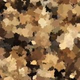 Nigerian-Camo
