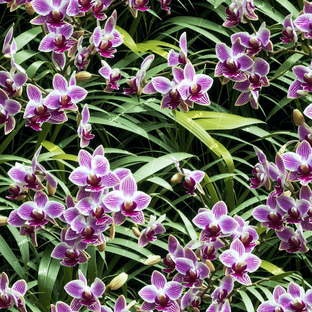 Orchid Garden 42