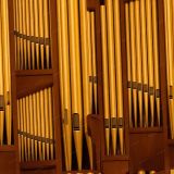 Organ-Pipes