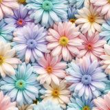 Pastel-Daisies-43