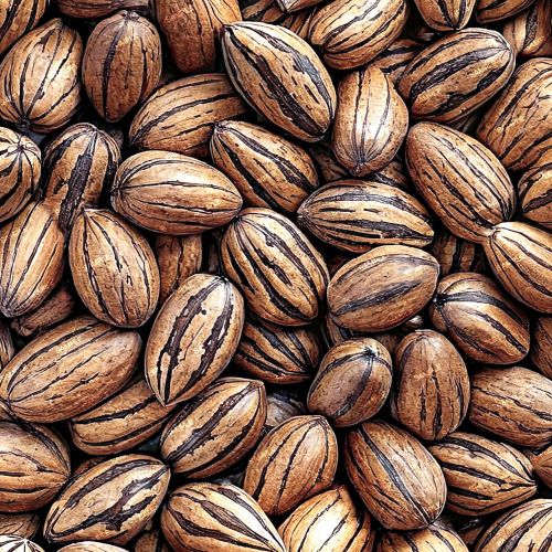 Pecans 44