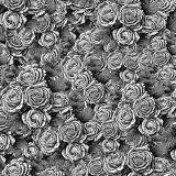 Pencil-Sketch-of-Roses-22