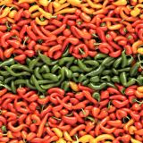 Peppers-43
