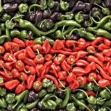 Peppers-44