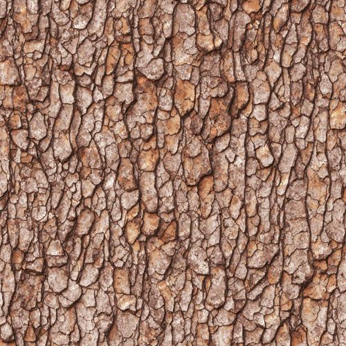 Pine Tree Bark 44