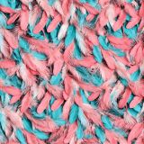 Pink-and-Cyan-Feathers