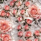 Pink-and-White-Roses-43