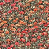 Poppy-Fields-44