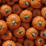 Pumpkins-45