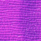 Purple-Slime-22