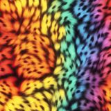 Rainbow-Cat-Fur-44