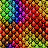 Rainbow-Chrome-Scales