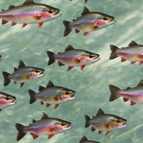 Rainbow Trout 42