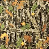Real-Tree-Autumn-Leaf
