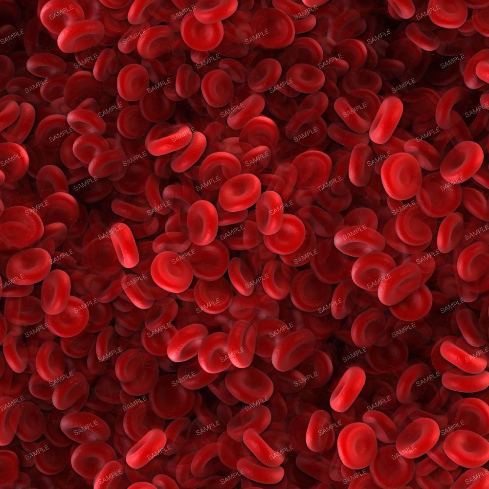 Red Blood Cells