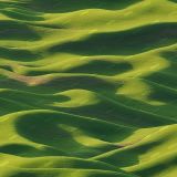 Rolling-Green-Hills